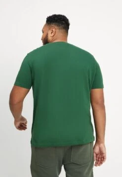 Lacoste Plus - T-Shirt Basique - Green -Tenues Mode Boutique b0eedc1e98614c0ca71fdc6b73df1fd6
